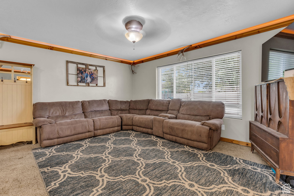 Living room with carpet, ceiling fan, and crown molding