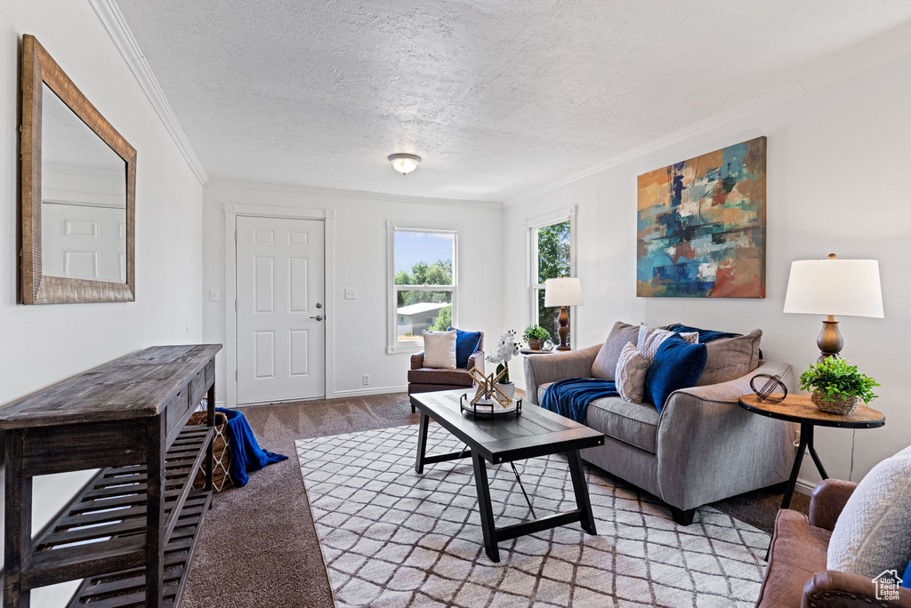 Living room with a textured ceiling, wood-type flooring, and ornamental molding