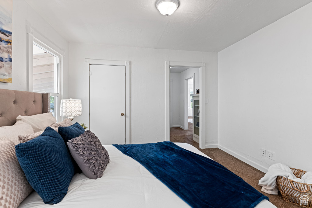 Carpeted bedroom featuring a closet