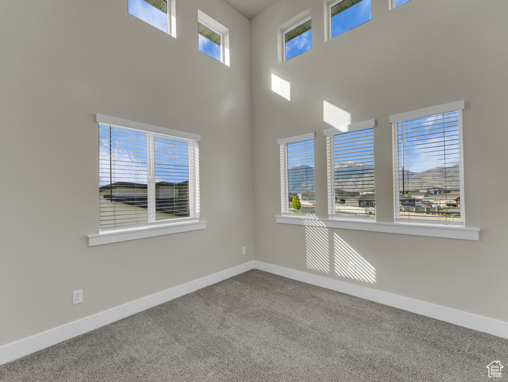 Spare room with carpet floors, a high ceiling, and baseboards