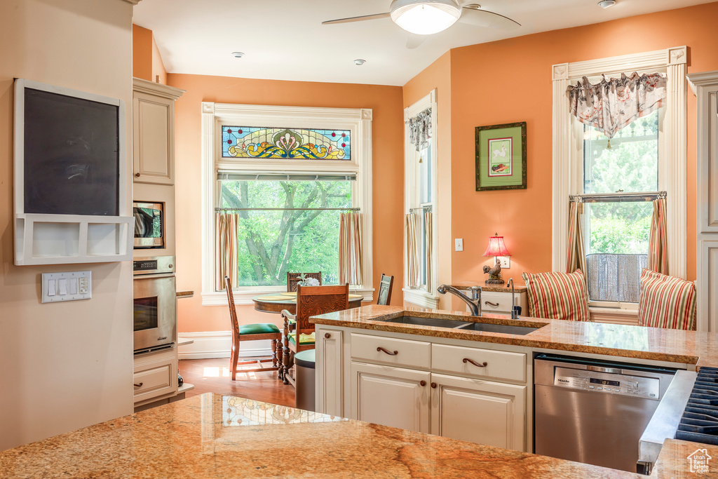 Kitchen featuring appliances with stainless steel finishes, a healthy amount of sunlight, sink, and ceiling fan