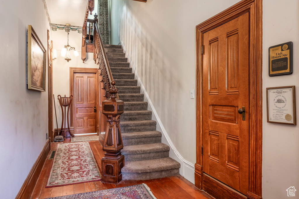 Staircase featuring hardwood / wood-style floors