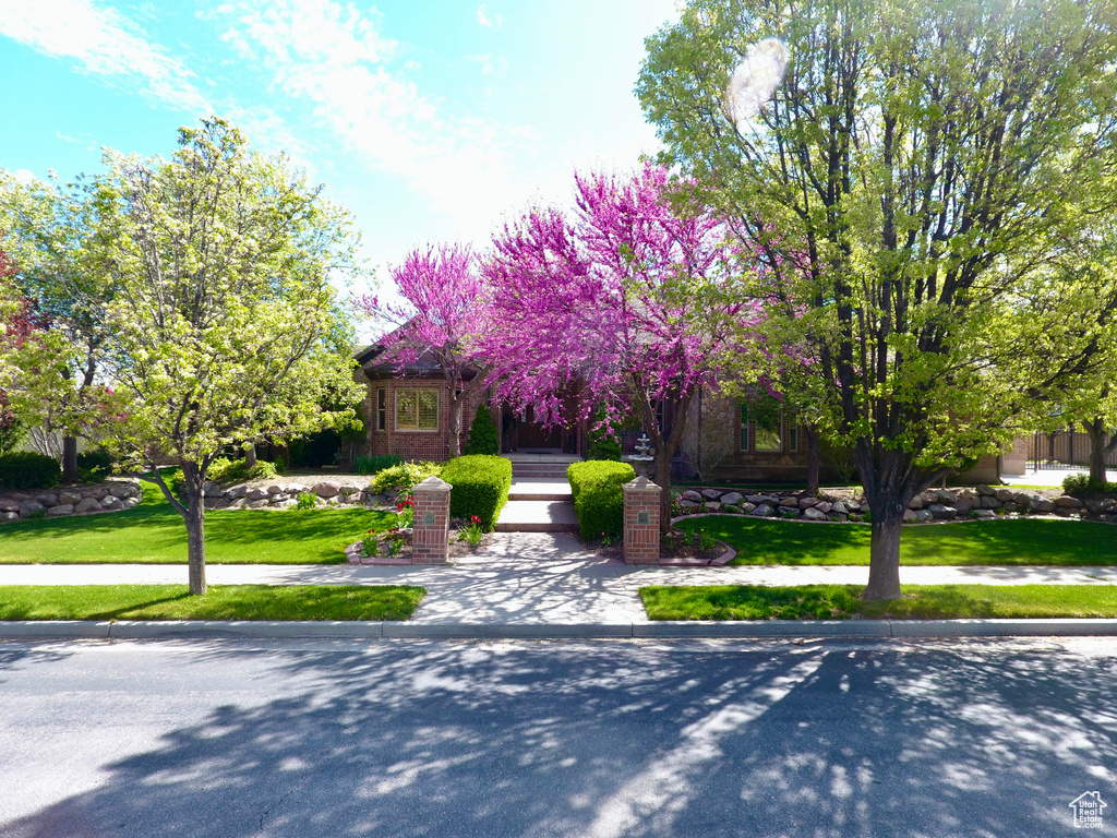 View of front of property with a front yard