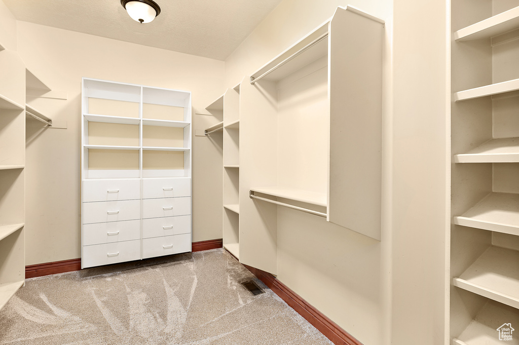 Spacious closet featuring carpet floors