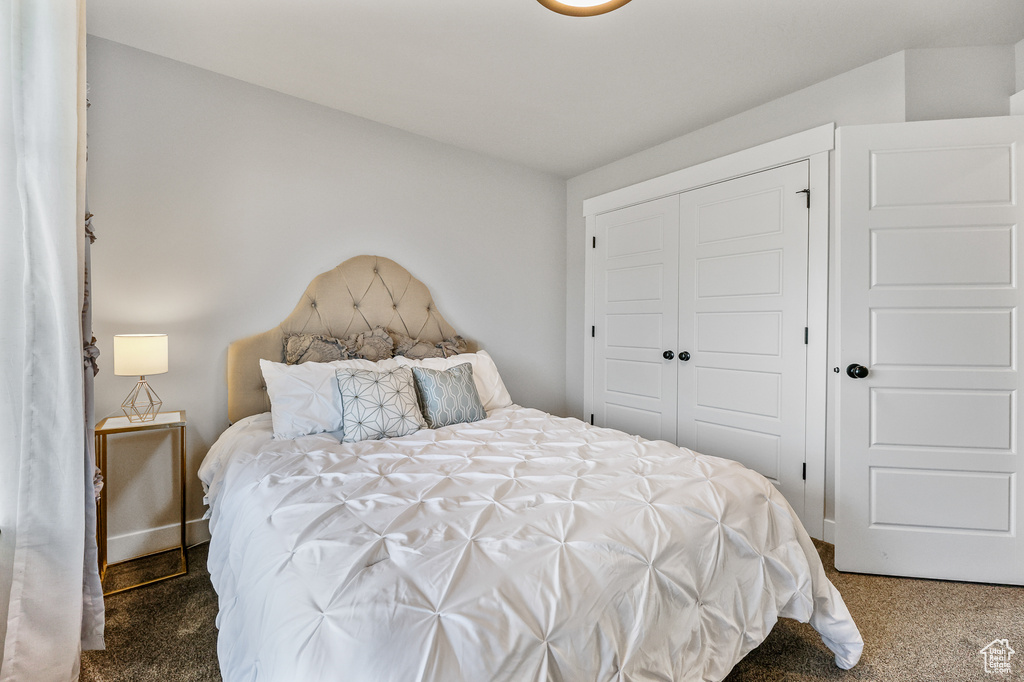 Bedroom with a closet and carpet floors