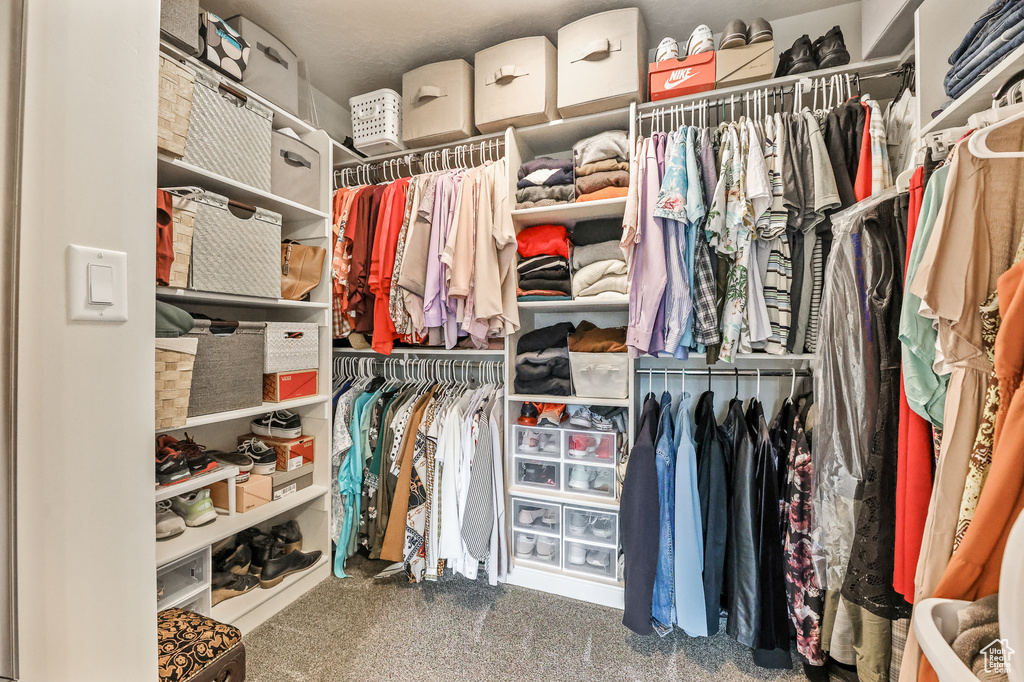 Walk in closet with carpet floors