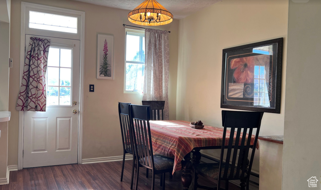 Dining space with dark hardwood / wood-style floors