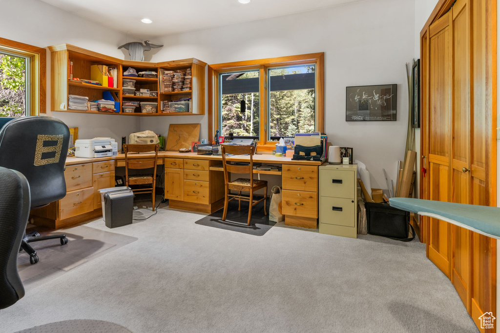 Office space featuring light colored carpet