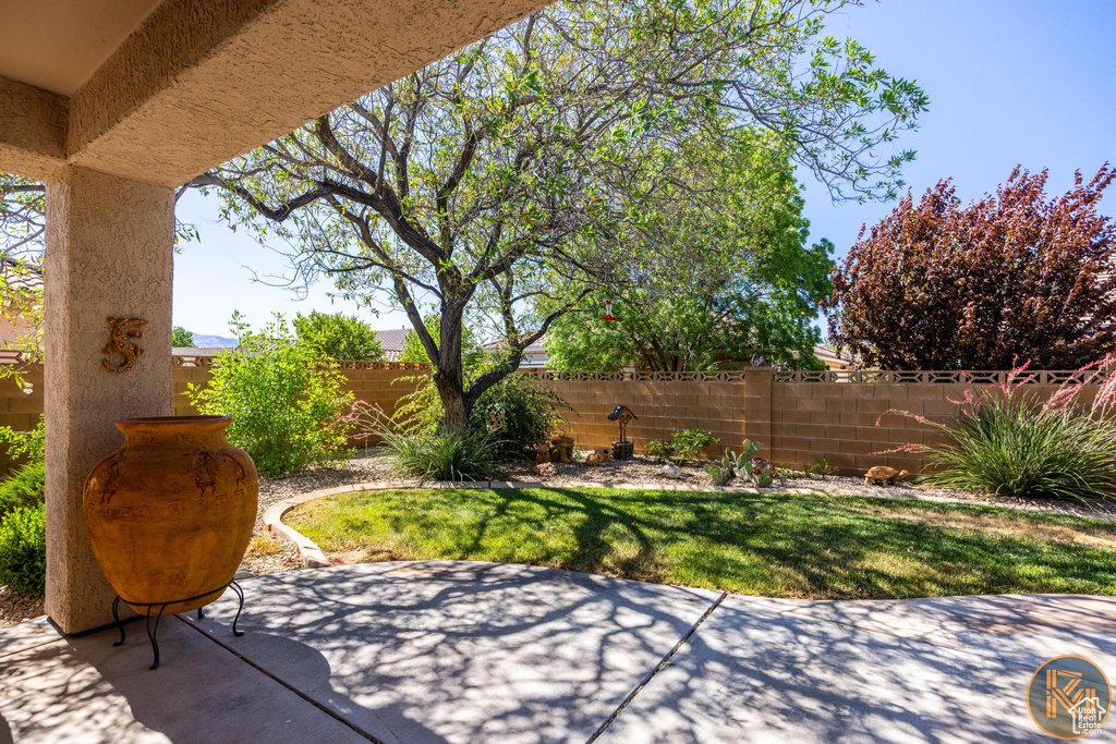 View of patio