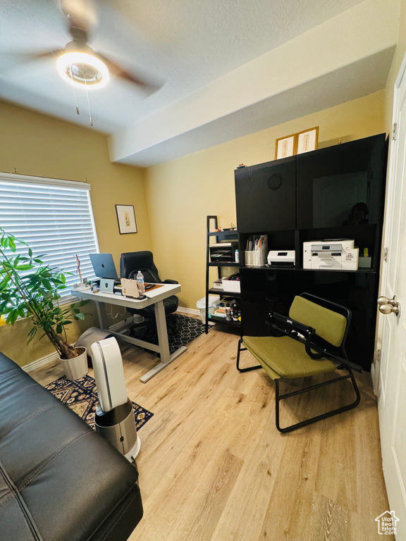 Office space featuring ceiling fan and light hardwood / wood-style flooring