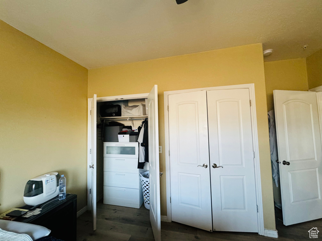 Bedroom featuring multiple closets and dark wood-type flooring