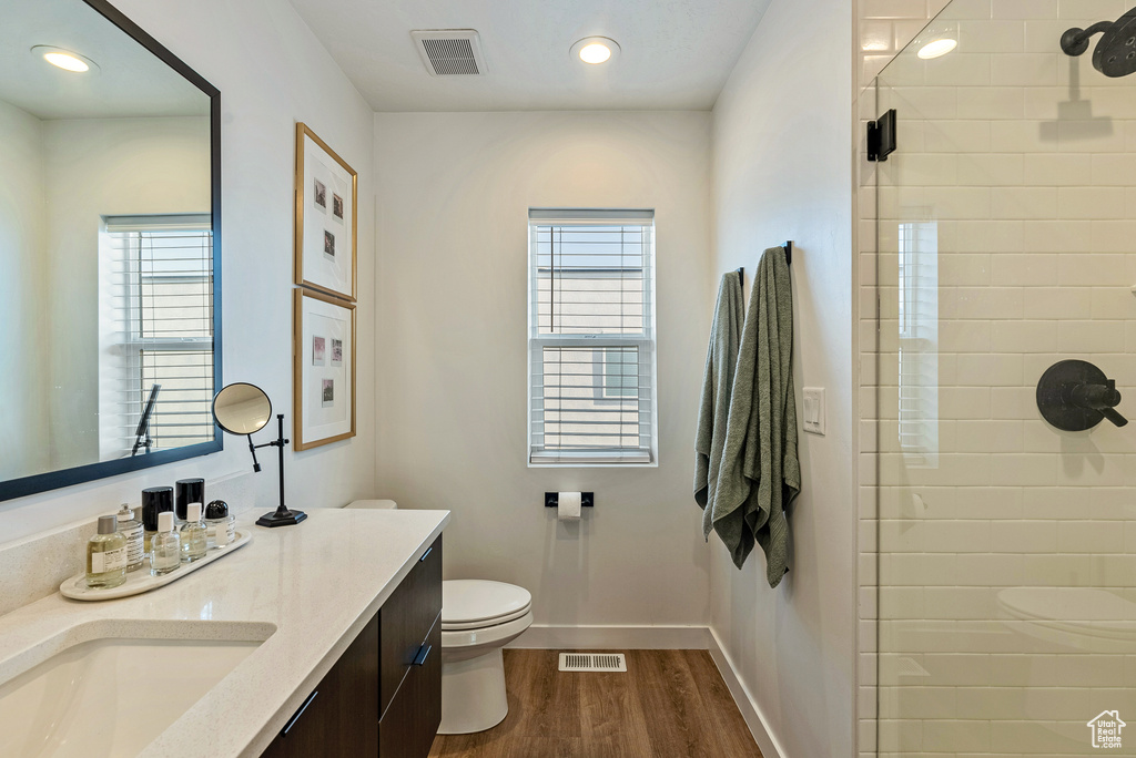 Bathroom featuring vanity, wood-type flooring, toilet, and plenty of natural light