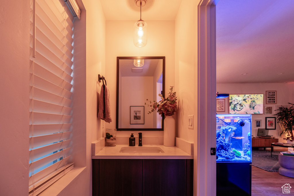 Bathroom featuring vanity and wood-type flooring