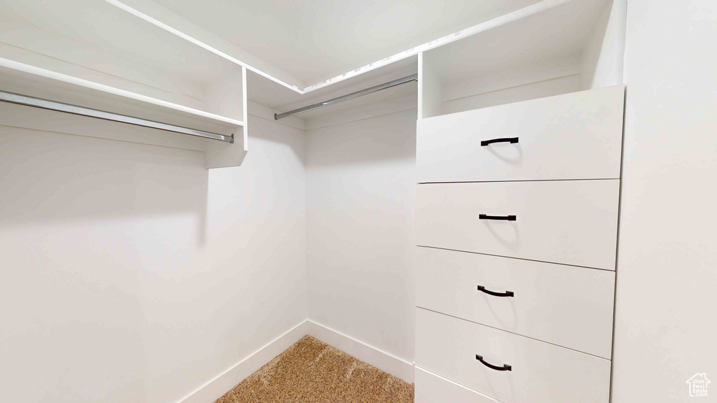 Walk in closet with carpet floors