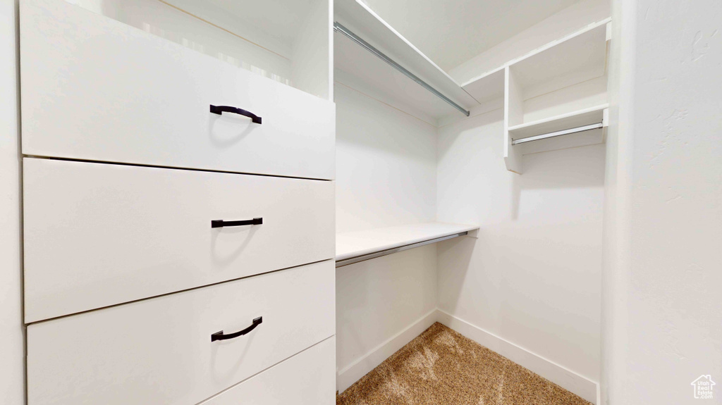 Spacious closet featuring carpet