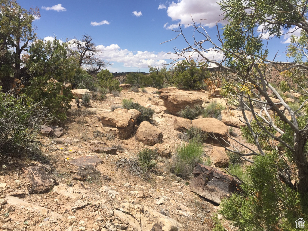 View of local wilderness
