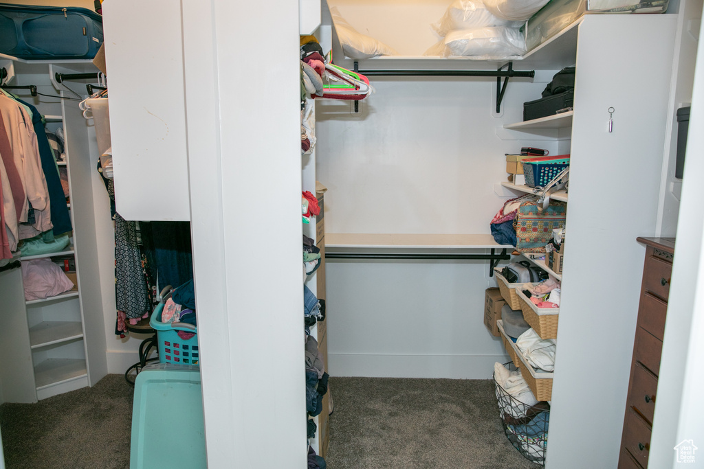 Spacious closet featuring carpet