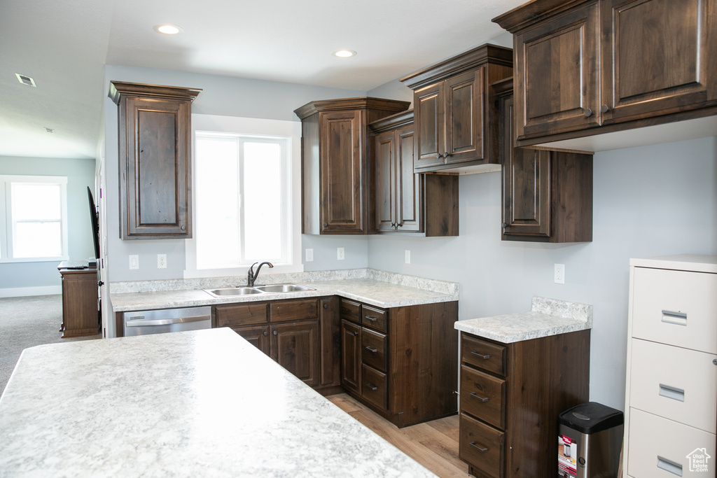 Kitchen featuring dark brown cabinets, stainless steel dishwasher, sink, and light colored carpet