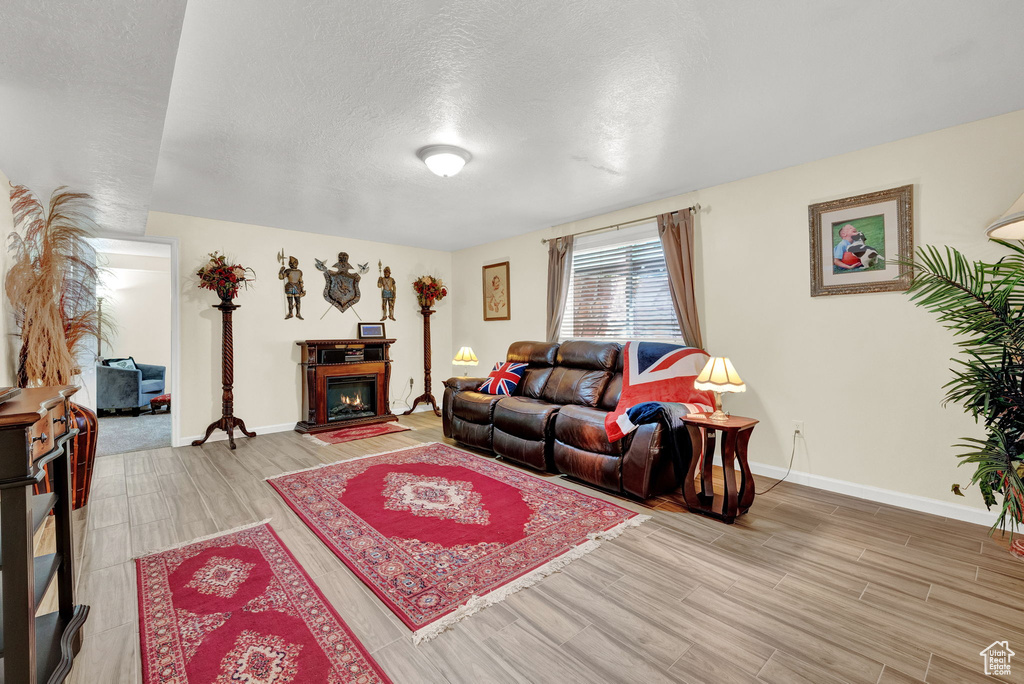 Living room featuring a textured ceiling