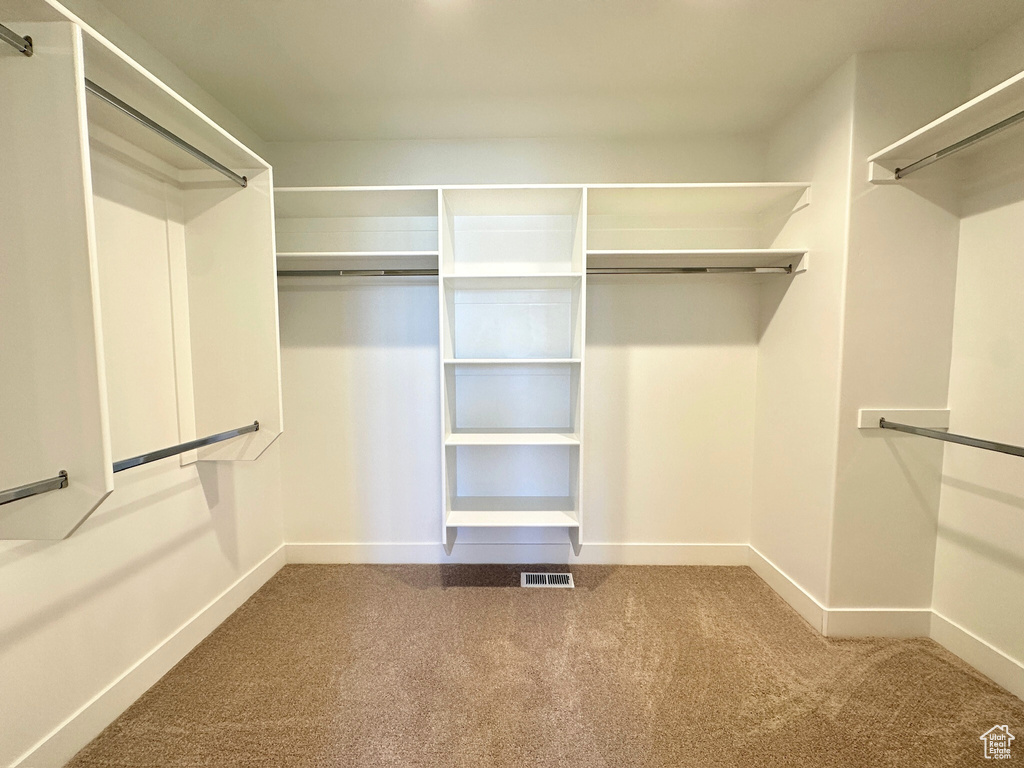 Walk in closet featuring carpet floors