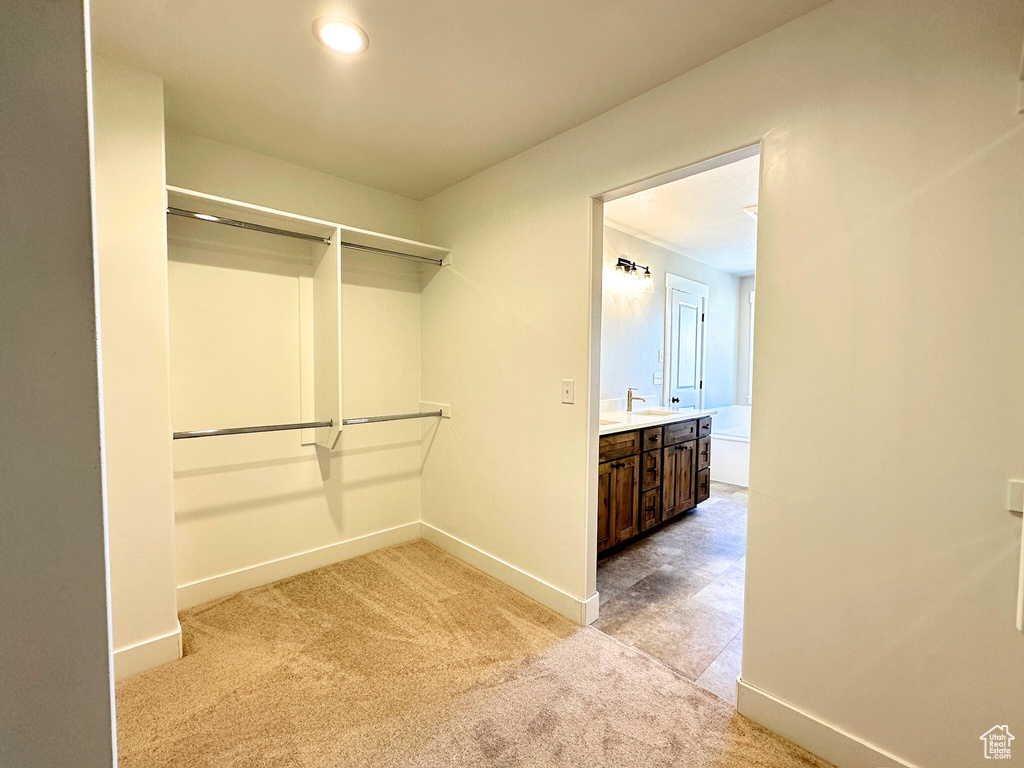 Spacious closet featuring light carpet