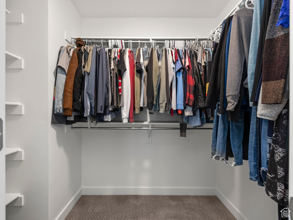 Walk in closet featuring carpet flooring