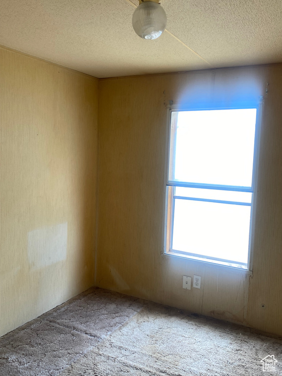 Spare room with carpet flooring and a textured ceiling