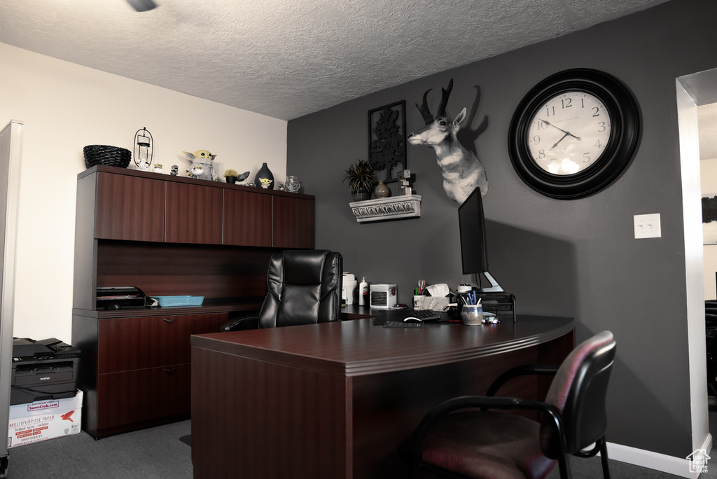 Office space with a textured ceiling and carpet flooring