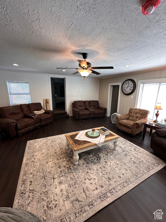 Living room featuring dark hardwood / wood-style flooring, a textured ceiling, a healthy amount of sunlight, and ceiling fan