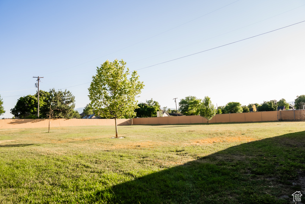 View of yard