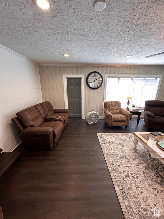 Living room with dark hardwood / wood-style flooring, a textured ceiling, and ornamental molding