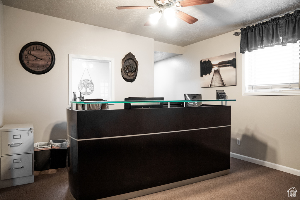 Interior space featuring a textured ceiling, carpet, and ceiling fan