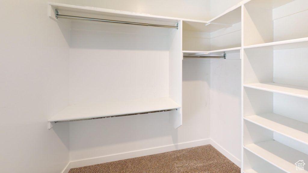 Spacious closet with carpet