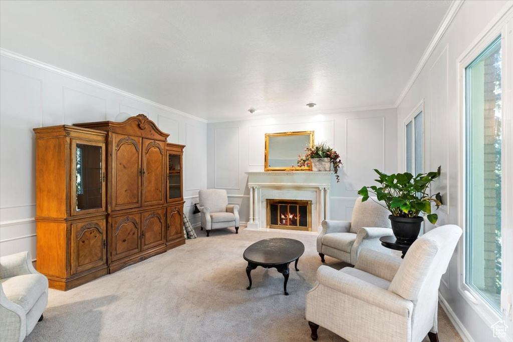 Sitting room featuring a fireplace, crown molding, and carpet flooring