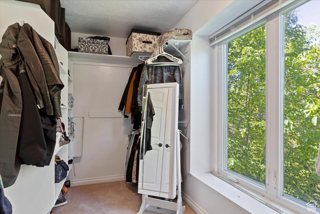 Spacious closet featuring carpet