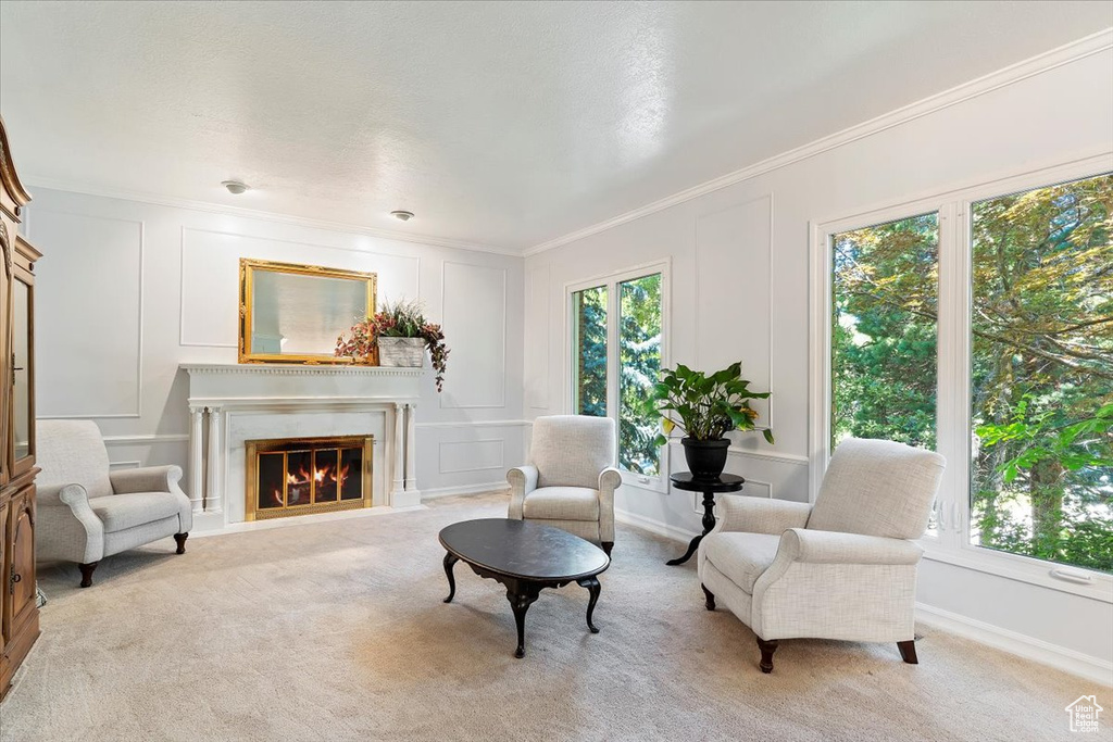 Sitting room with light colored carpet, crown molding, and a high end fireplace