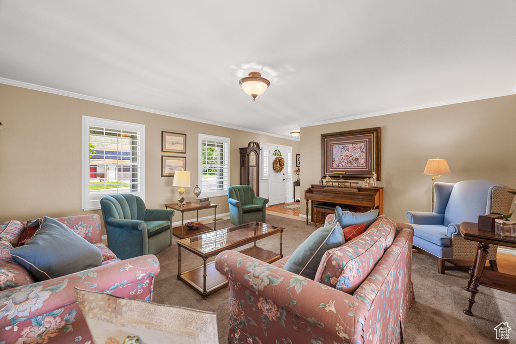 Living room featuring carpet flooring and ornamental molding