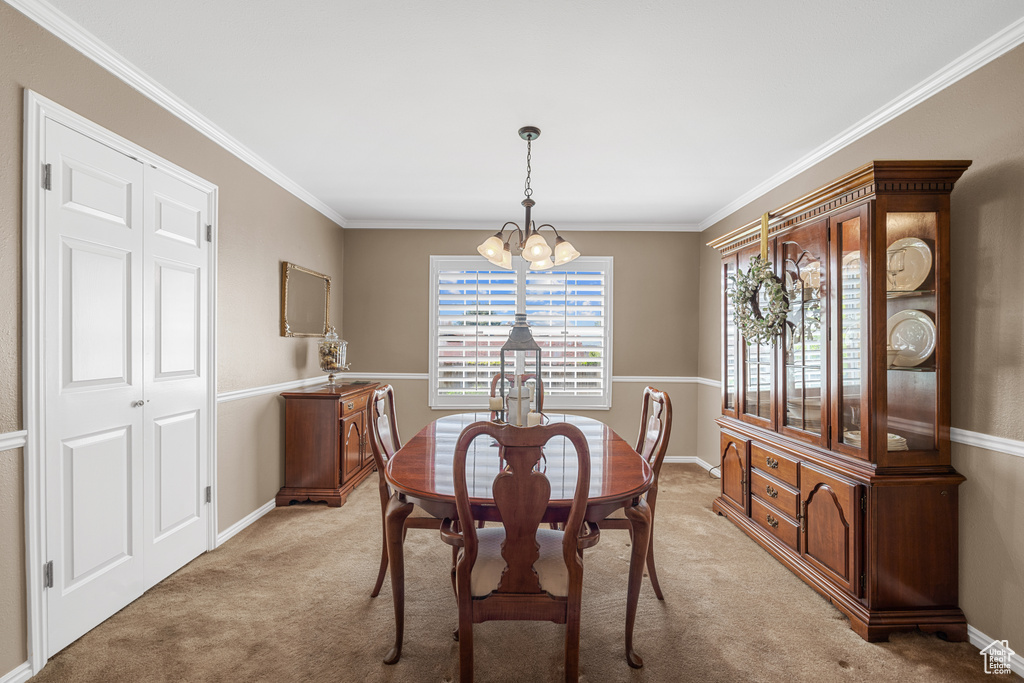 Dining room featuring a chandelier, light carpet, and crown molding