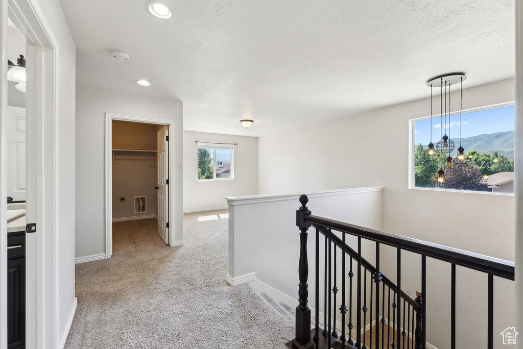 Hallway featuring light colored carpet