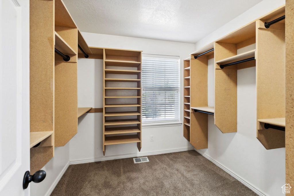 Spacious closet with carpet