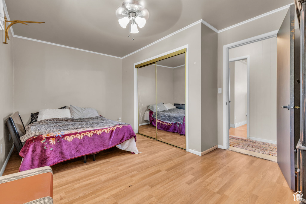 Bedroom with ceiling fan, crown molding, light hardwood / wood-style flooring, and a closet