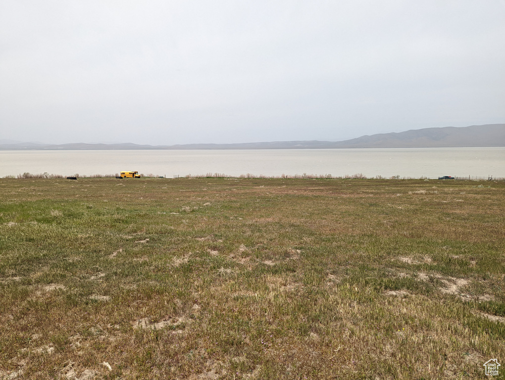 View of local wilderness with a water view