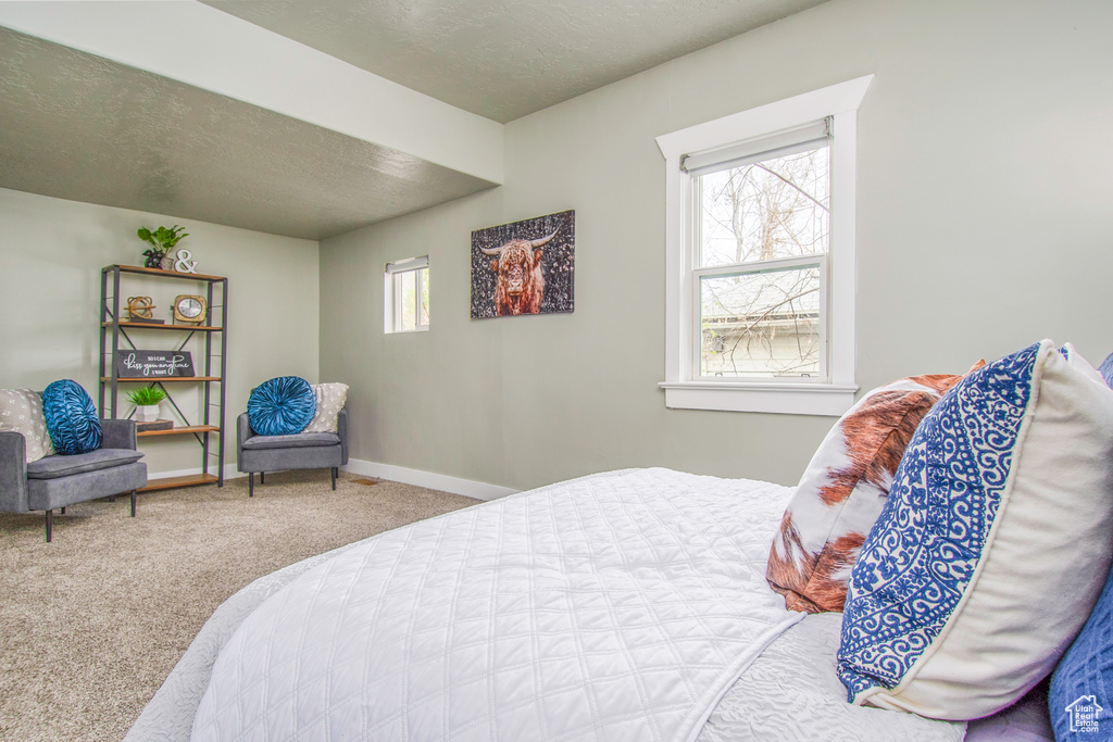 Carpeted bedroom featuring a textured ceiling