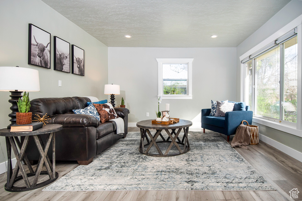 Living room featuring hardwood / wood-style flooring and a textured ceiling