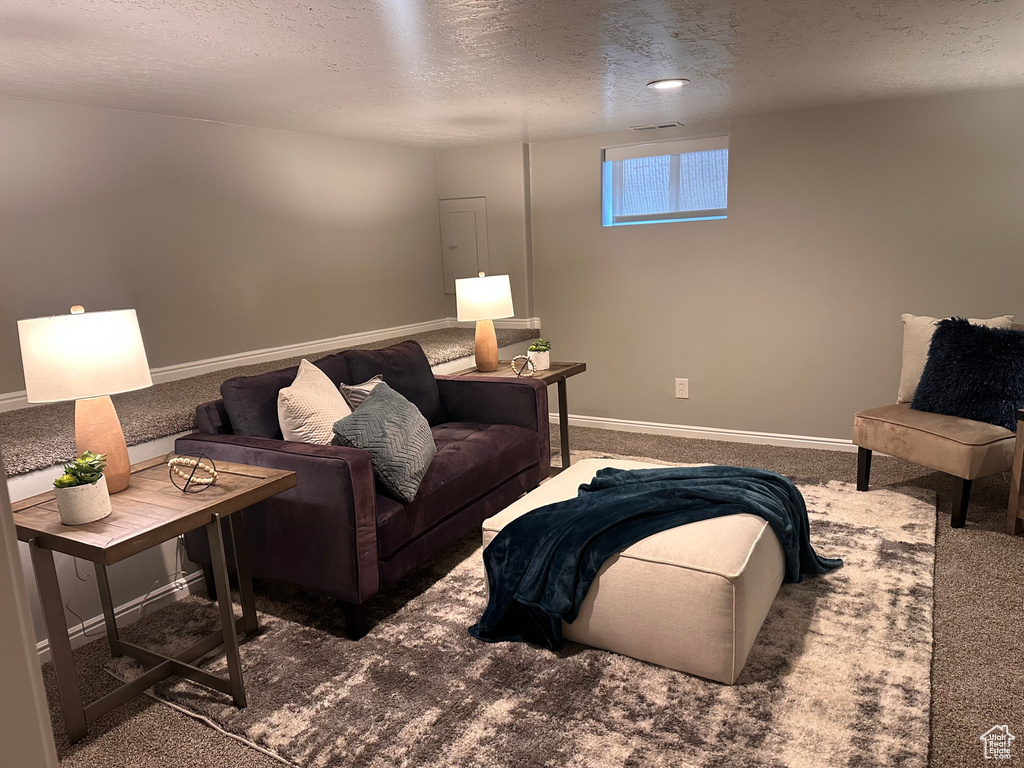 Carpeted living room with a textured ceiling