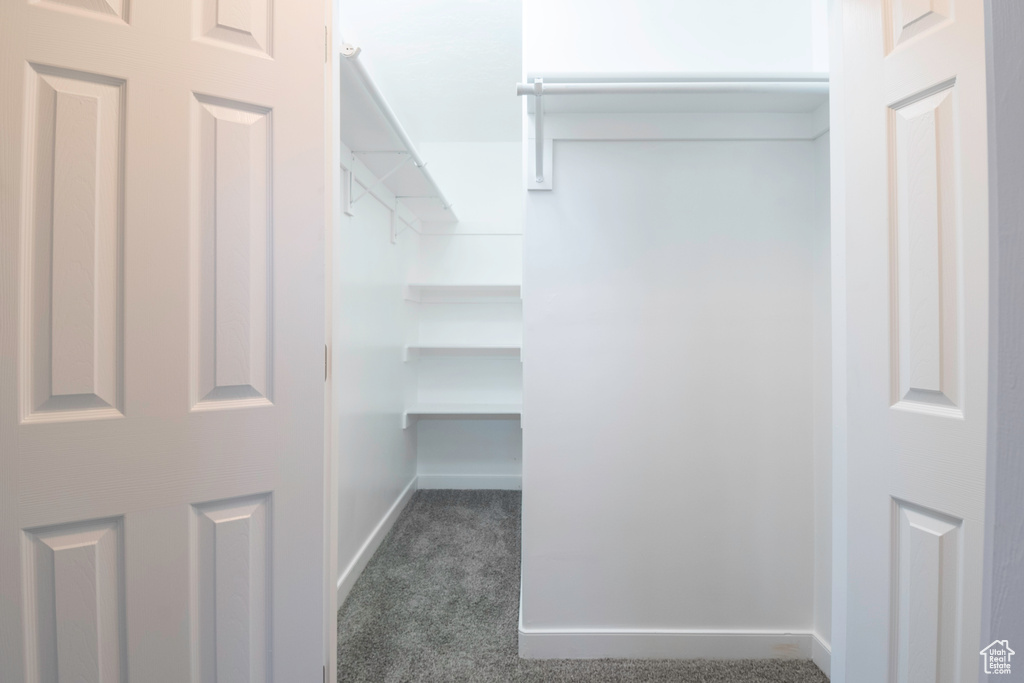 Walk in closet with dark colored carpet