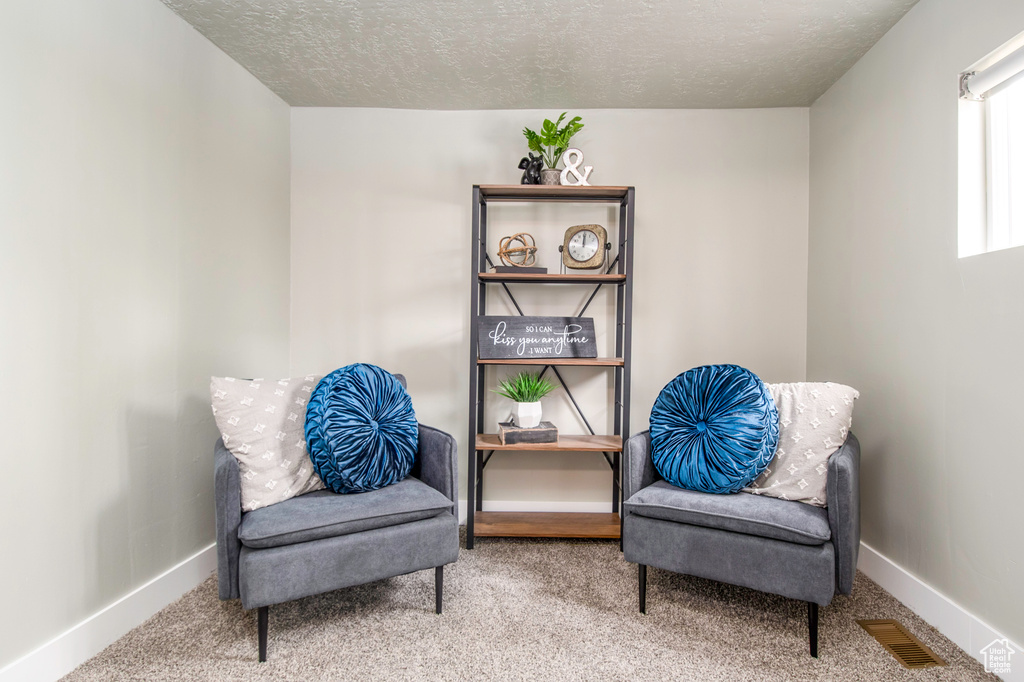 Living area with carpet and a textured ceiling