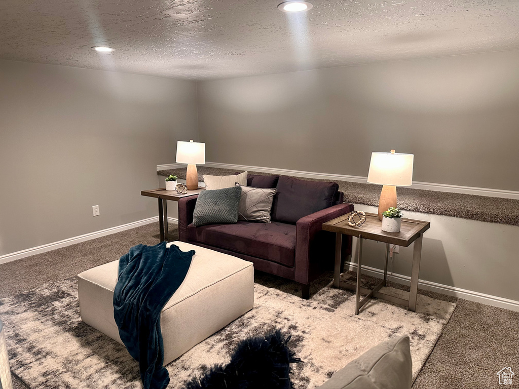 Living room with carpet and a textured ceiling