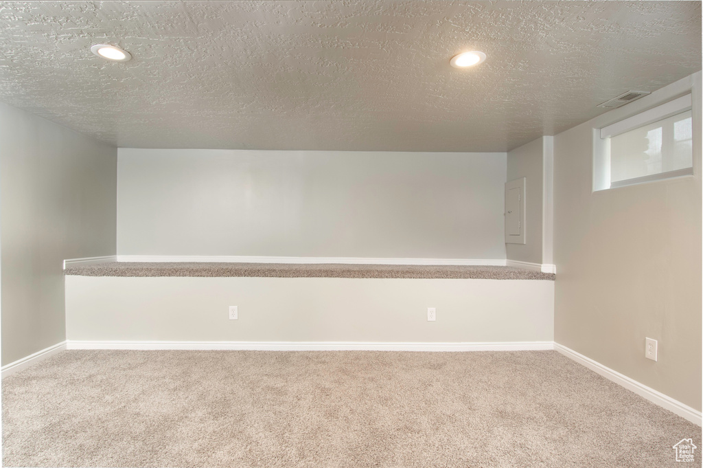 Basement with carpet and a textured ceiling