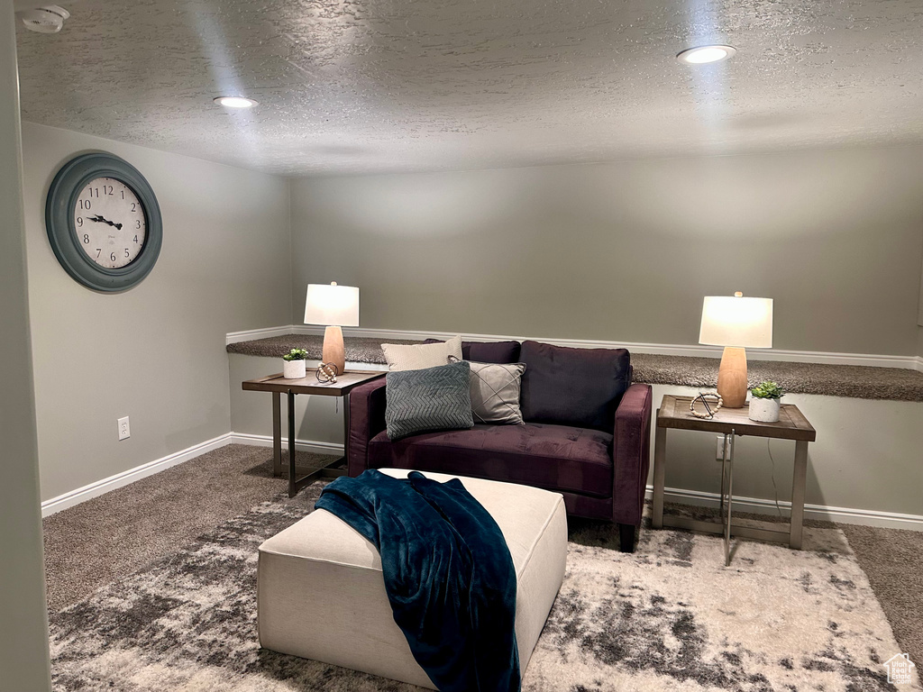 Living room with carpet flooring and a textured ceiling